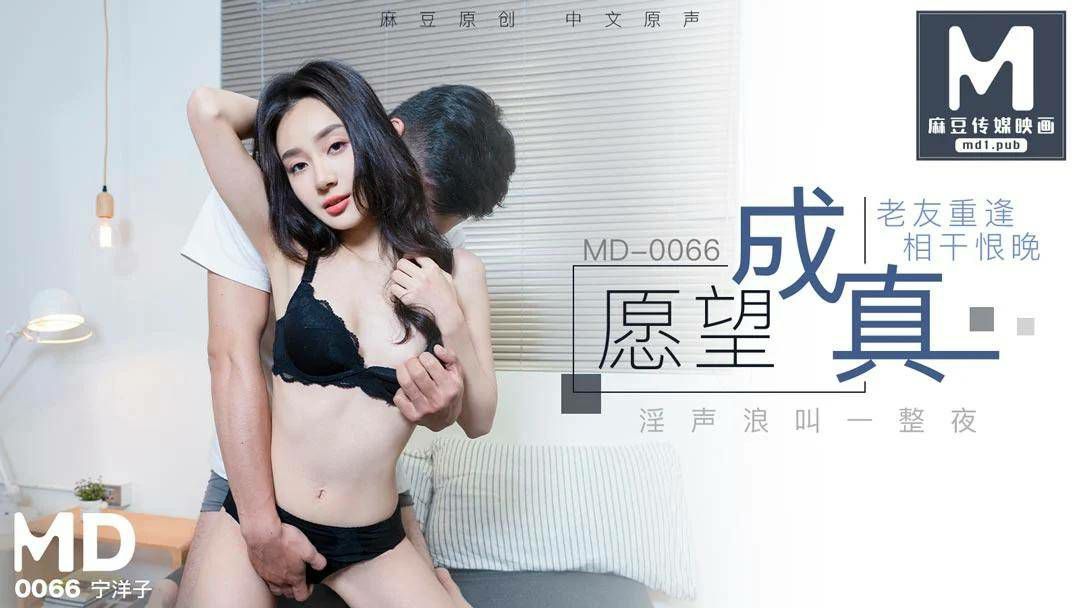 MD0066 老友重逢相干恨晚 - 宁洋子